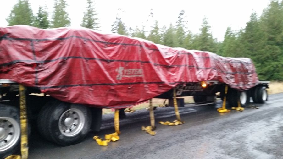 flatbedder strapping and tarping load in the rain on a dirt road in the woods