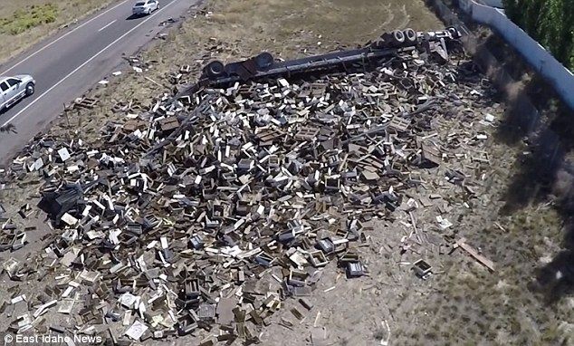 truck loaded with bees overturns and spills
