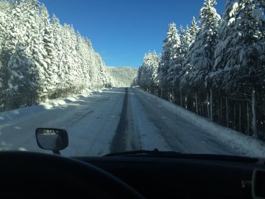 trucker's picture of beautiful snow-covered mountain pine trees and road scenery