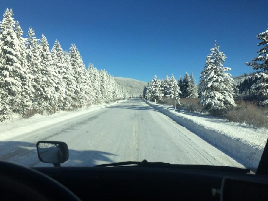 trucker's picture of beautiful snow-covered mountain pine trees and road scenery