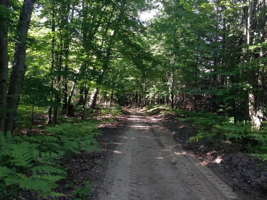 truck driver bike riding through the woods on his down time