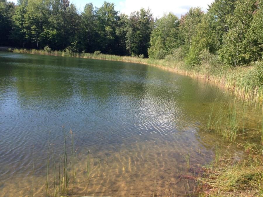 truck driver bike riding through the woods on his down time finds a pond