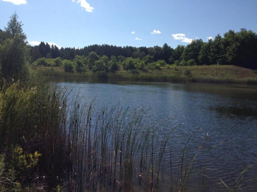 truck driver bike riding through the woods on his down time finds a pond