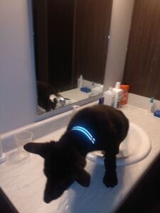 baby in sink