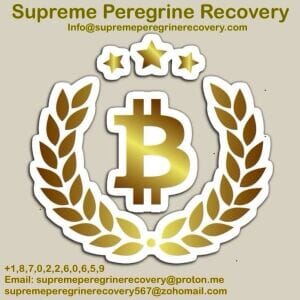 recovery expert