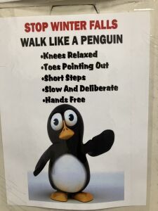 I walk like a Penguin regardless of the weather 