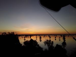 Sunrise over the bayou 